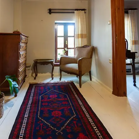 Sayilgan Greek House In The Center Villa Ayvalı