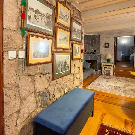 Sayilgan Greek House In The Center Villa Ayvalı