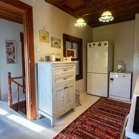 Villa Sayilgan Greek House In The Center Ayvalı